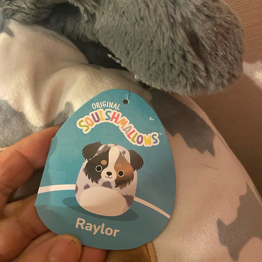 Raylor - Picture 2 of 3